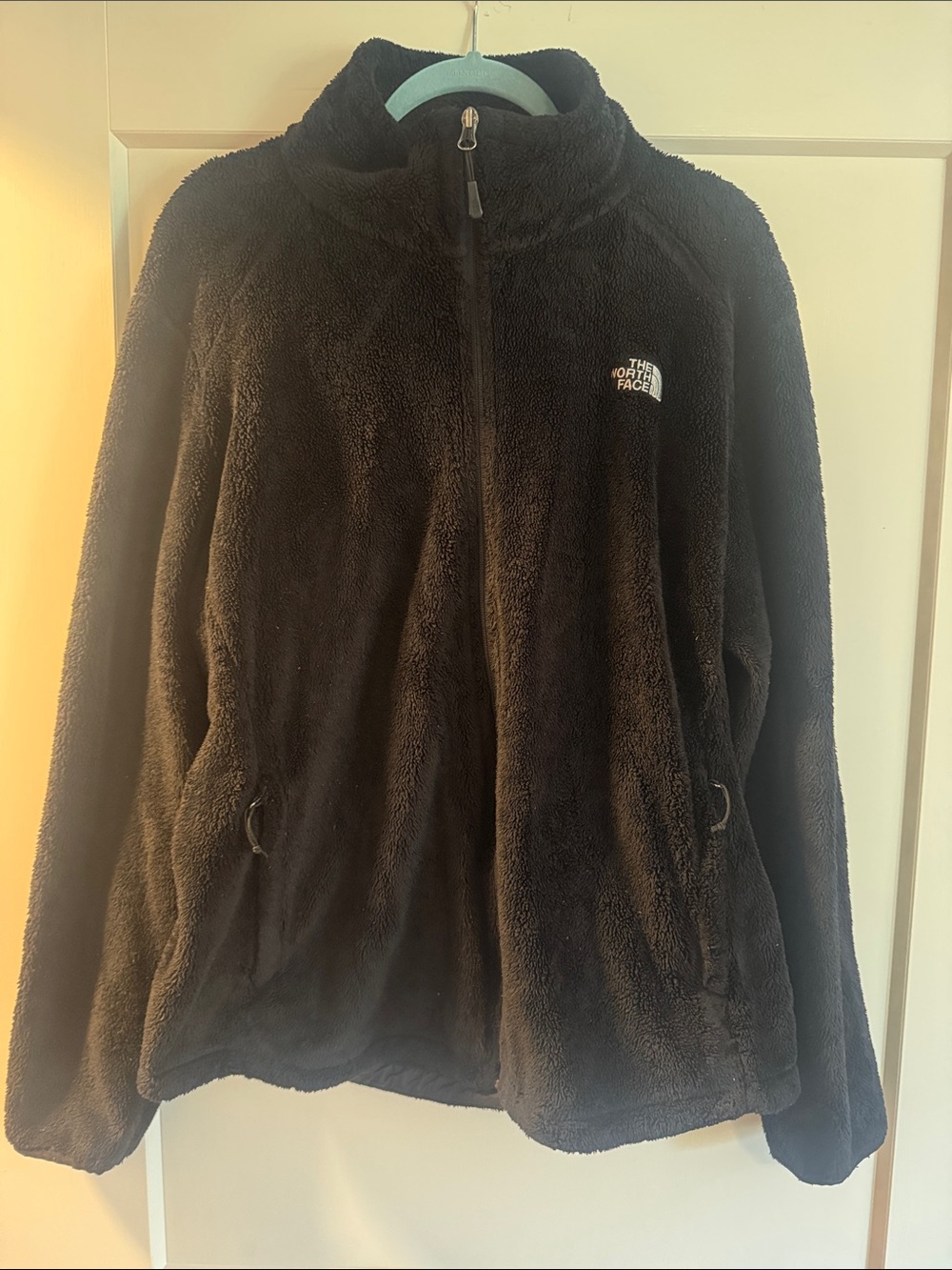 The North Face Black Teddy Fleece Full-Zip Jacket